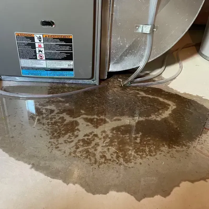 Appliance Leak Cleanup in Greeneville, TN